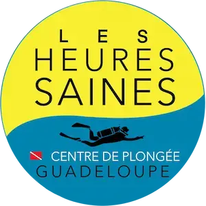 logo-les-heures-saines